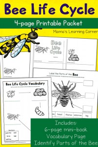 Nature Archives - Mamas Learning Corner