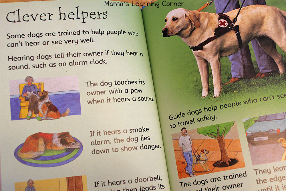 Dogs - Day 11 of 365 Days of Children's Books - Mamas Learning Corner