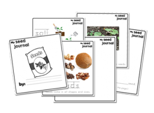 Seed Writing Activities - Mamas Learning Corner