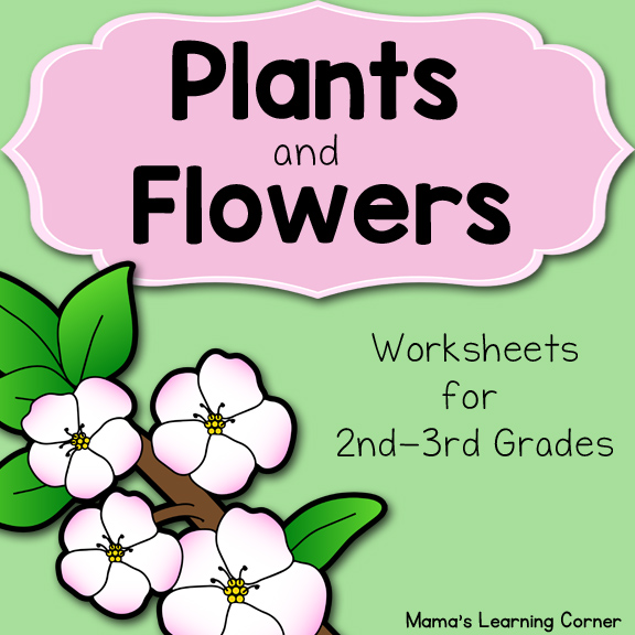 plants and flowers worksheet packet mamas learning corner