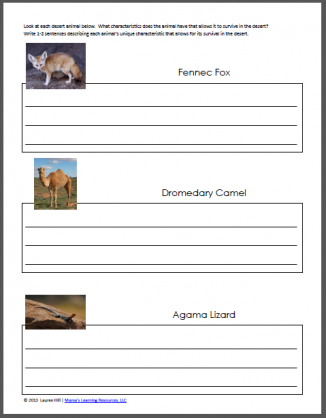 Desert Worksheets - Mamas Learning Corner