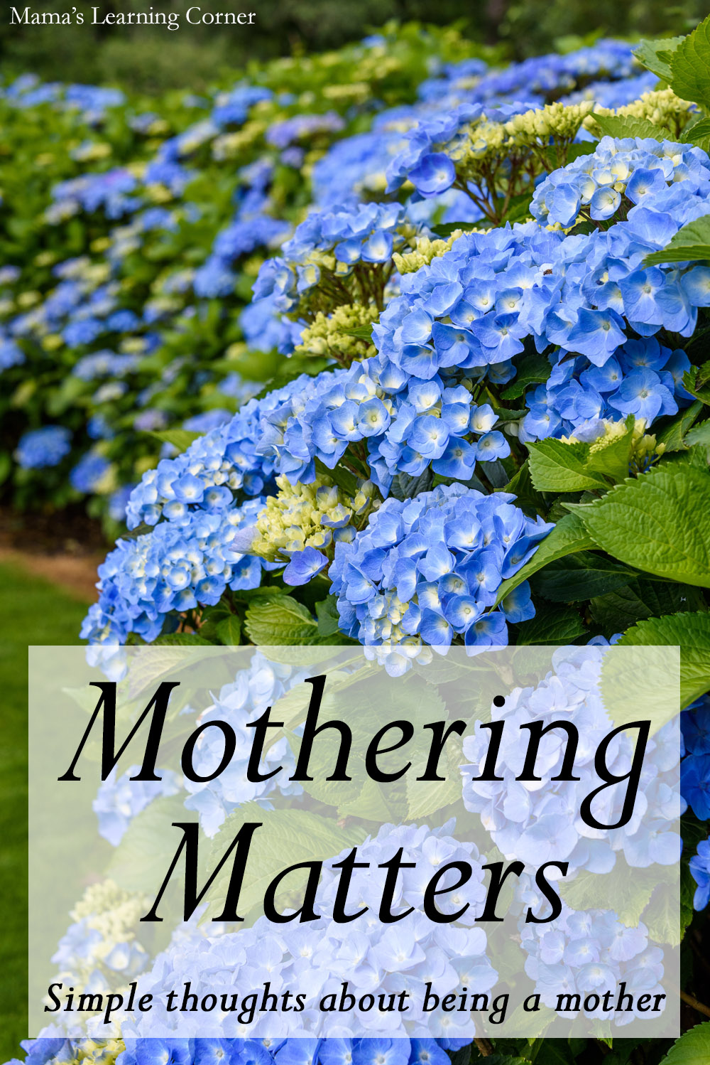 mothering-matters-mamas-learning-corner