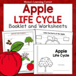 Apple Life Cycle Worksheets - Mamas Learning Corner