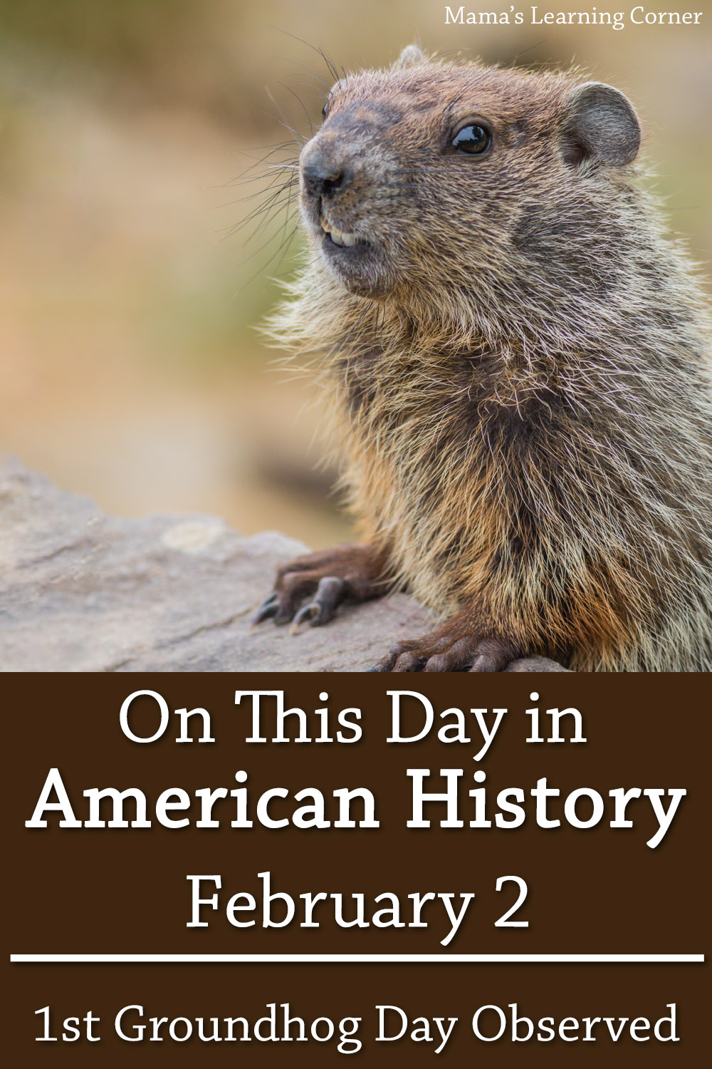 On This Day in American History February 2 First Groundhog Day is